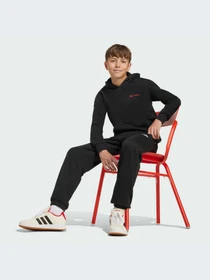 Худи и свитшоты Adidas модель JW2459-KZ Фото