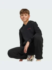 Худи и свитшоты Adidas модель JW2459-KZ Фото
