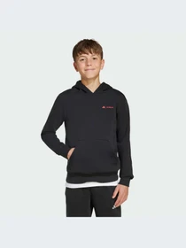 Худи и свитшоты Adidas модель JW2459-KZ Фото