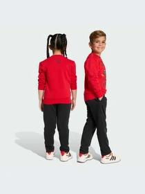 Костюмы Adidas модель JW2460-KZ Фото