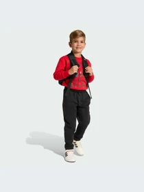 Костюмы Adidas модель JW2460-KZ Фото