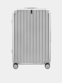 Дорожные сумки и чемоданы NinetyGo All-Round Guard модель 1134-SILVER Фото