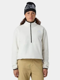 Худи и свитшоты The North Face модель NF0A8D2CQLI1 Фото