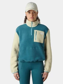 Худи и свитшоты The North Face модель NF0A8E89ERO1 Фото