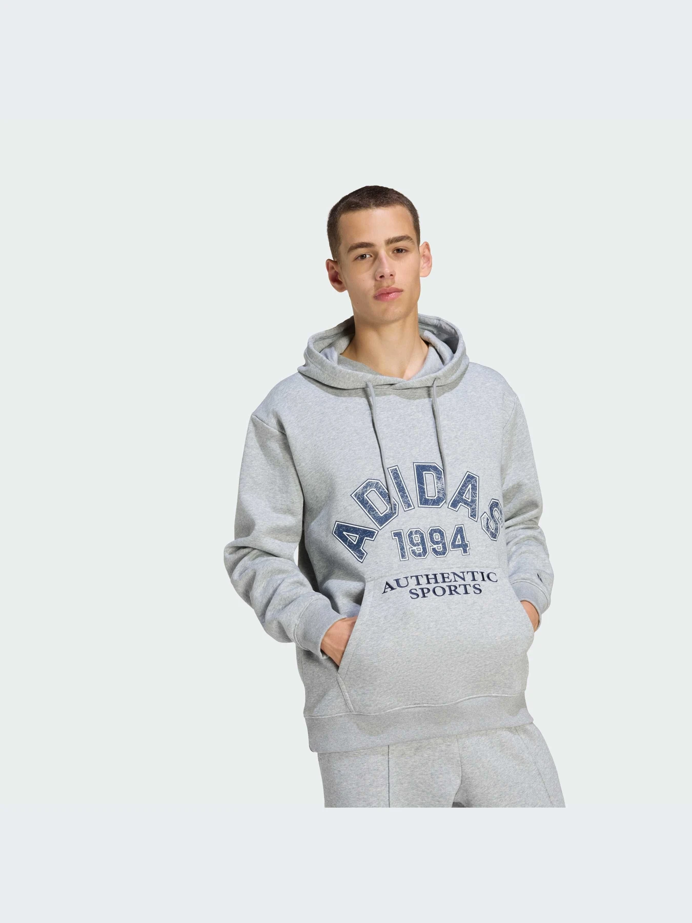Худи и свитшоты Adidas Graphics модель KE2239-KZ Худи и свитшоты Adidas Graphics модель KE2239-KZ Фото