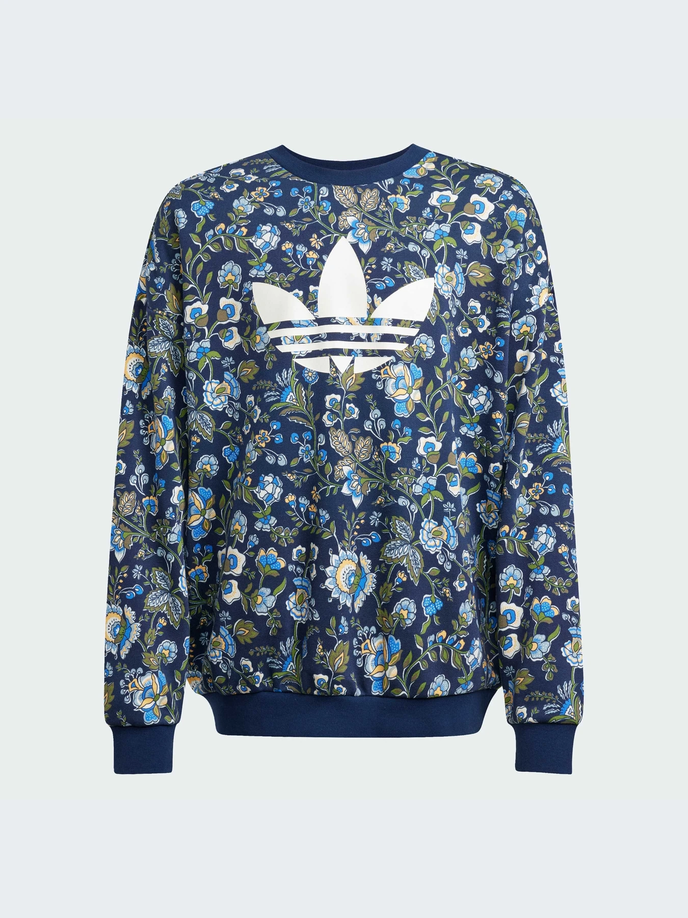 Худи и свитшоты Adidas Graphics модель JX6316-KZ Фото