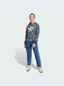 Худи и свитшоты Adidas Graphics модель JX6316-KZ Фото