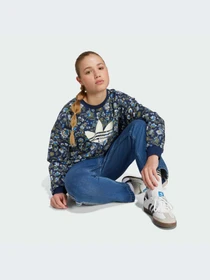 Худи и свитшоты Adidas Graphics модель JX6316-KZ Фото