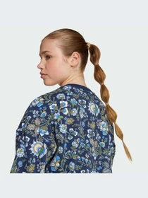 Худи и свитшоты Adidas Graphics модель JX6316-KZ Фото