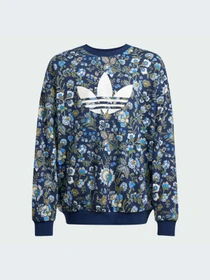 Худи и свитшоты Adidas Graphics модель JX6316-KZ Фото
