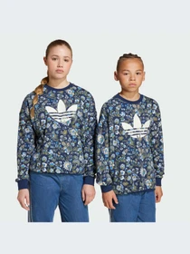 Худи и свитшоты Adidas Graphics модель JX6316-KZ Фото