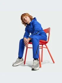 Брюки Adidas ZNE модель KA0666-KZ Фото