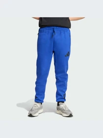 Брюки Adidas ZNE модель KA0666-KZ Фото