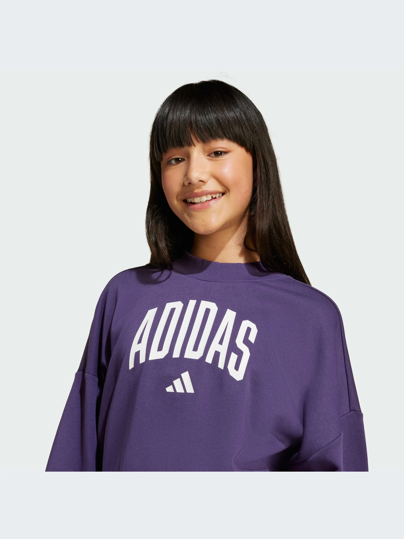 Худи и свитшоты Adidas модель JV7379-KZ Худи и свитшоты Adidas модель JV7379-KZ Фото