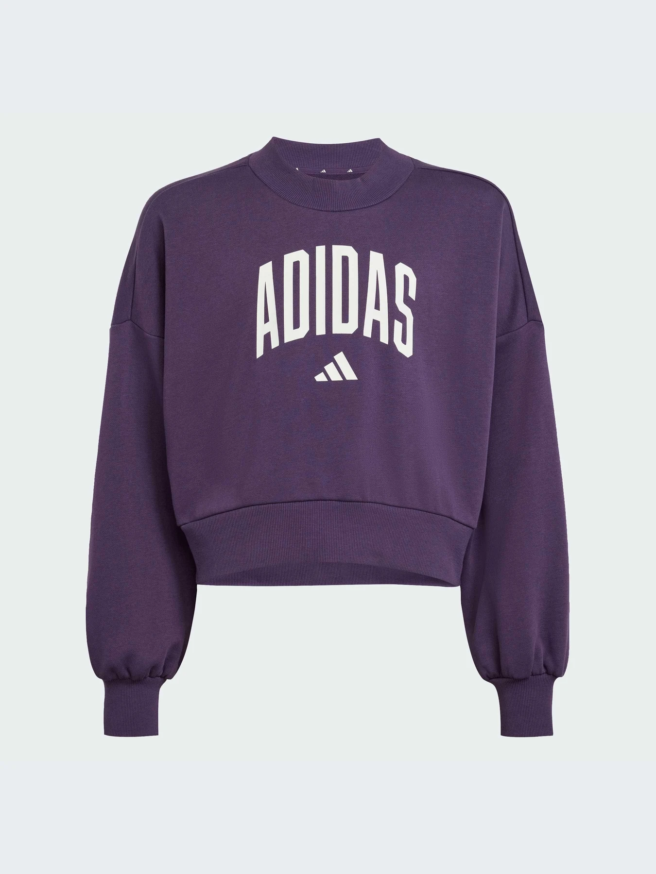 Худи и свитшоты Adidas модель JV7379-KZ Худи и свитшоты Adidas модель JV7379-KZ Фото