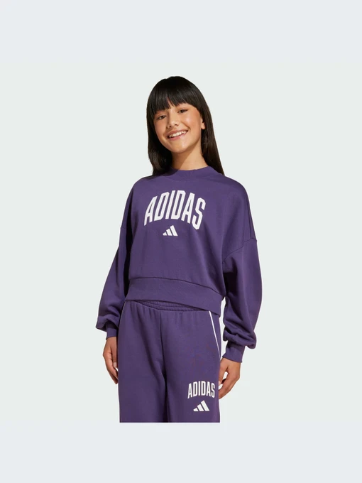 Худи и свитшоты Adidas модель JV7379-KZ Фото