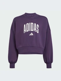 Худи и свитшоты Adidas модель JV7379-KZ Фото