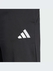 Брюки Adidas модель JF1105-KZ Фото