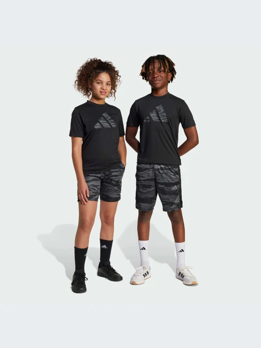 Шорты Adidas модель JI6103-KZ Фото