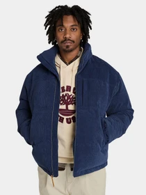 Куртки и дубленки Timberland модель TB0A5MYG451 Фото