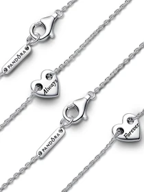 Колье PANDORA Moments модель 393207C00 Фото