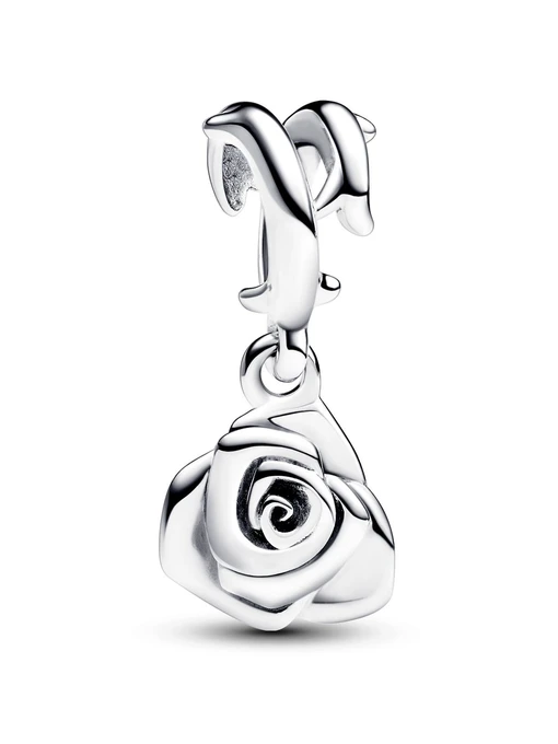 Шармы-подвески PANDORA Moments модель 793213C00 Фото