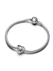 Классические PANDORA Moments модель 793233C01 Фото
