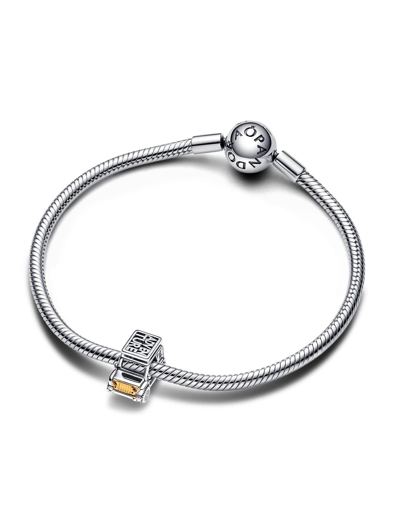 Классические PANDORA Moments модель 763330C01 Классические PANDORA Moments модель 763330C01 Фото