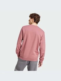 Худи и свитшоты Adidas модель IY9080-KZ Фото