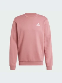 Худи и свитшоты Adidas модель IY9080-KZ Фото