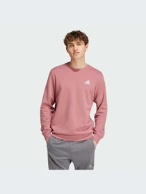 Худи и свитшоты Adidas модель IY9080-KZ Фото