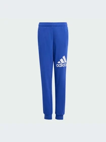 Брюки Adidas модель IV7326-KZ Фото