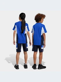 Шорты Adidas модель IC5631-KZ Фото