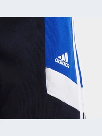 Шорты Adidas модель IC5631-KZ Фото