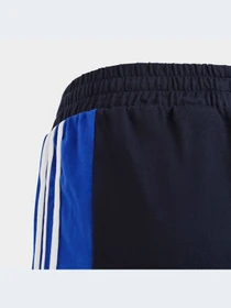 Шорты Adidas модель IC5631-KZ Фото