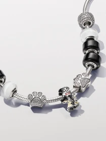 Классические PANDORA Collabs модель 793424C01 Фото