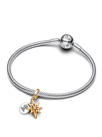 Шармы-подвески PANDORA Moments модель 763588C01 Фото