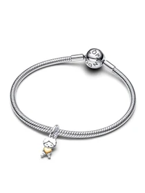 Шармы-подвески PANDORA Moments модель 763602C00 Фото
