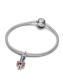 Шармы-подвески PANDORA Moments модель 793583C01 Фото