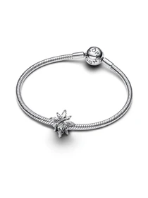 Классические PANDORA Moments модель 793591C01 Фото
