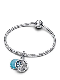 Медальоны PANDORA Moments модель 793599C01 Фото