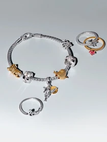 Для шармов PANDORA Moments модель 593681C00 Фото