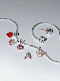 Шармы-подвески PANDORA Collabs модель 763650C01 Фото