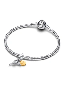 Шармы-подвески PANDORA Moments модель 763663C00 Фото