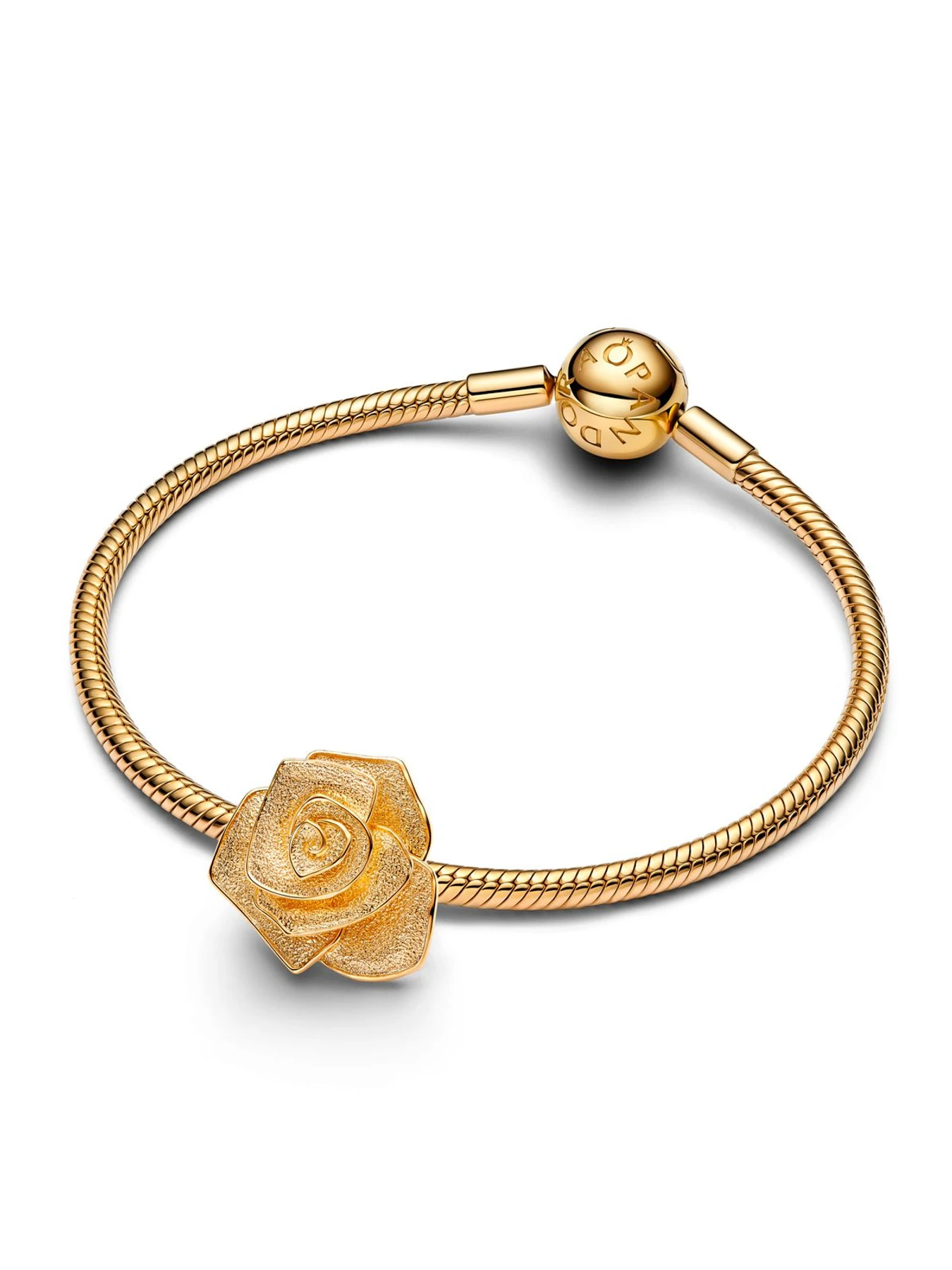 Классические PANDORA Moments модель 763675C00 Классические PANDORA Moments модель 763675C00 Фото