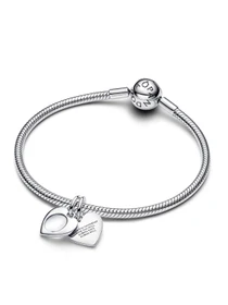 Шармы-подвески PANDORA Moments модель 793671C00 Фото