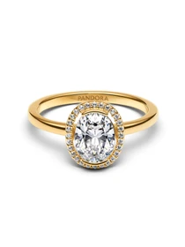 С камнями PANDORA Timeless модель 163802C01 Фото