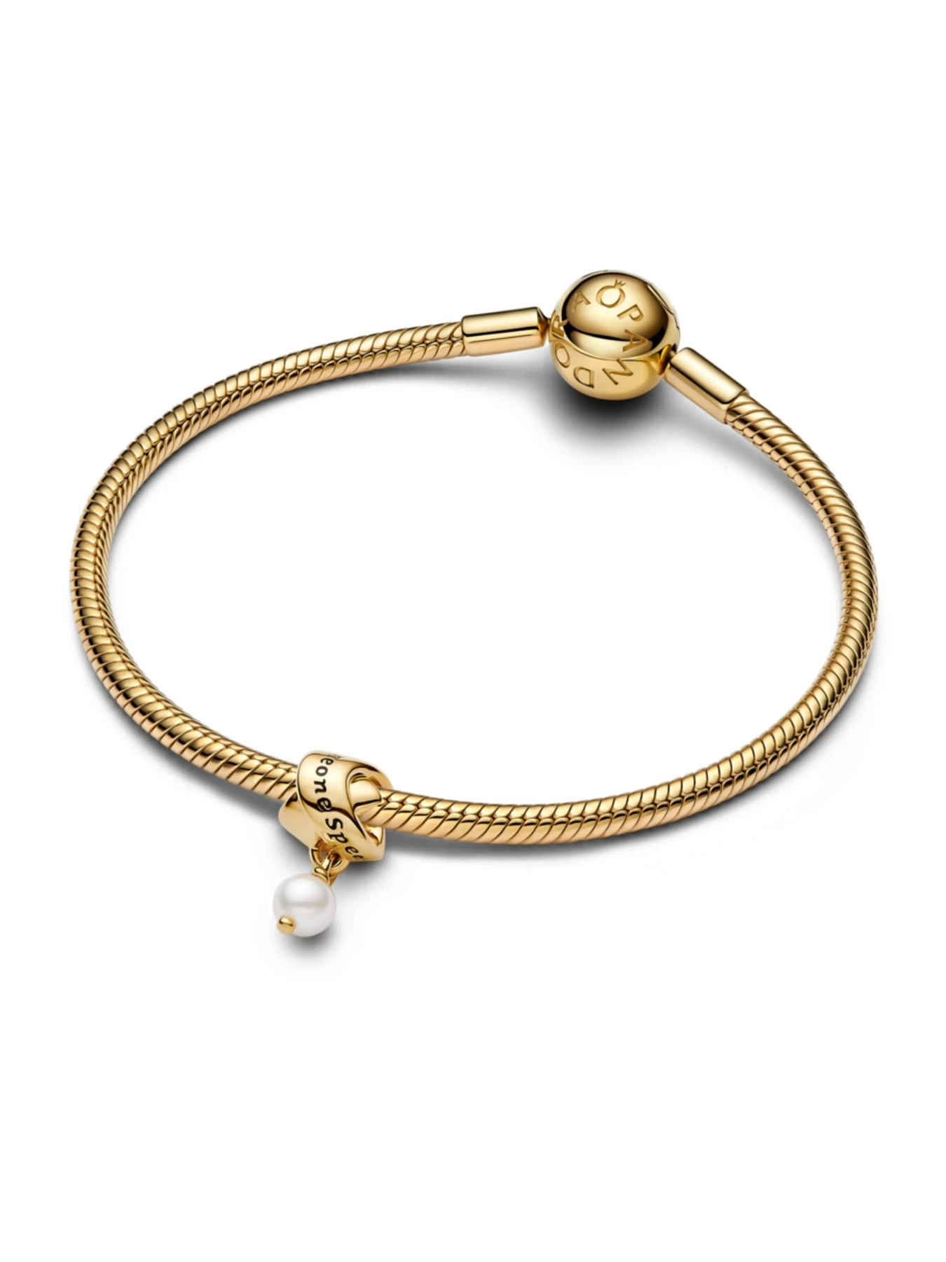Шармы-подвески PANDORA Moments модель 763784C01 Шармы-подвески PANDORA Moments модель 763784C01 Фото