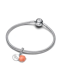 Шармы-подвески PANDORA Moments модель 793821C01 Фото