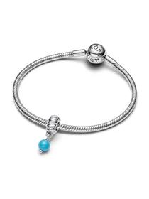 Шармы-подвески PANDORA Moments модель 793901C01 Фото